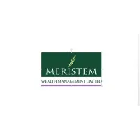 Meristem Wealth Management Limited