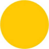 Suno United Creators