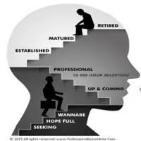 Professionality Institute