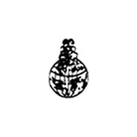 Manav Sthali School - India