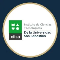 Instituto Profesional CIISA
