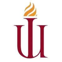 Indus University