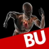 Boston University Sargent College