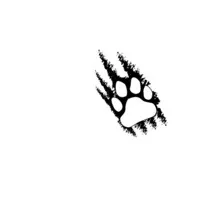 Fairview High School