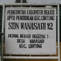 SD Negeri Wanasari 12