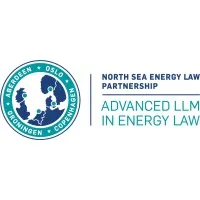 Advanced LLM in Energy Law (NSELP)