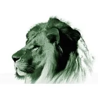 West Linn High School