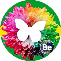 Instituto Brasileiro De Terapias Holísticas - IBRATH