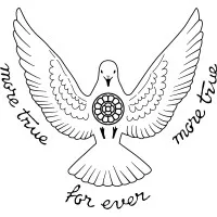 The Mother's International School