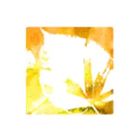 Bert Hellinger Instituut Nederland