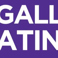 NYU Gallatin