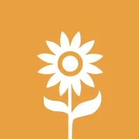 College of Management and IT (CMIT)