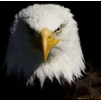 Hedgesville High School