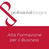 Professional Datagest
