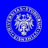 UNIVERSITA' DEGLI STUDI DI UDINE