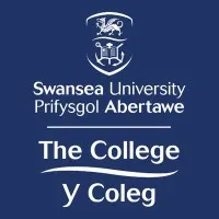The College, Swansea University