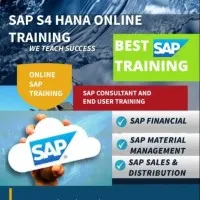 SAP Training SAP Fi Co MM PP SD Functional Modules Training